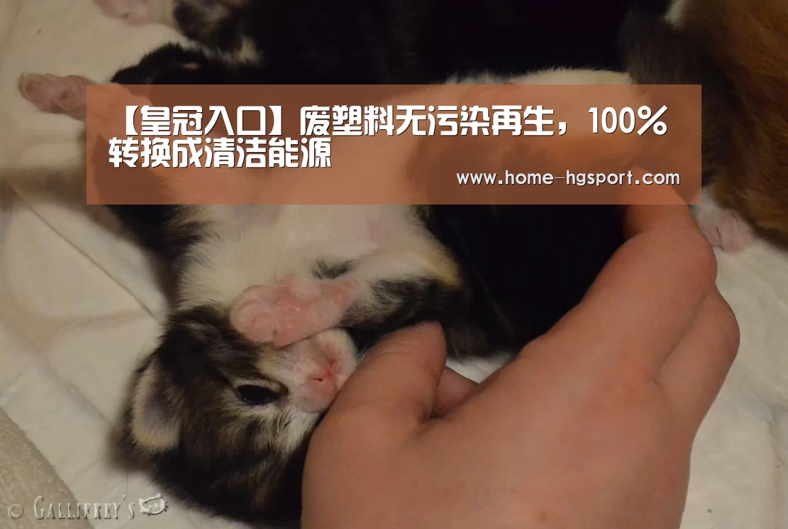 【皇冠入口】废塑料无污染再生,100%转换成清洁能源(图1) 皇冠体育官网