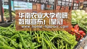皇冠入口
