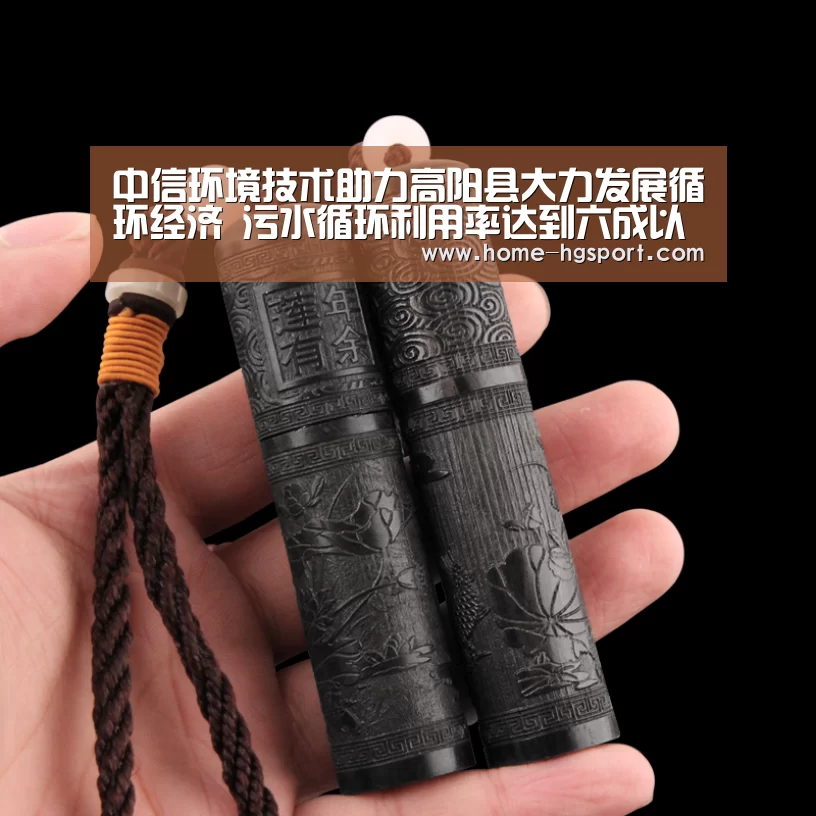 中信环境技术助力高阳县大力发展循环经济 污水循环利用率达到六成以上:皇冠入口(图1) 皇冠入口