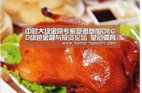 中财大绿金院专家受邀参加OECD绿色金融与投资论坛_皇冠体育下载(图1) 皇冠体育官网